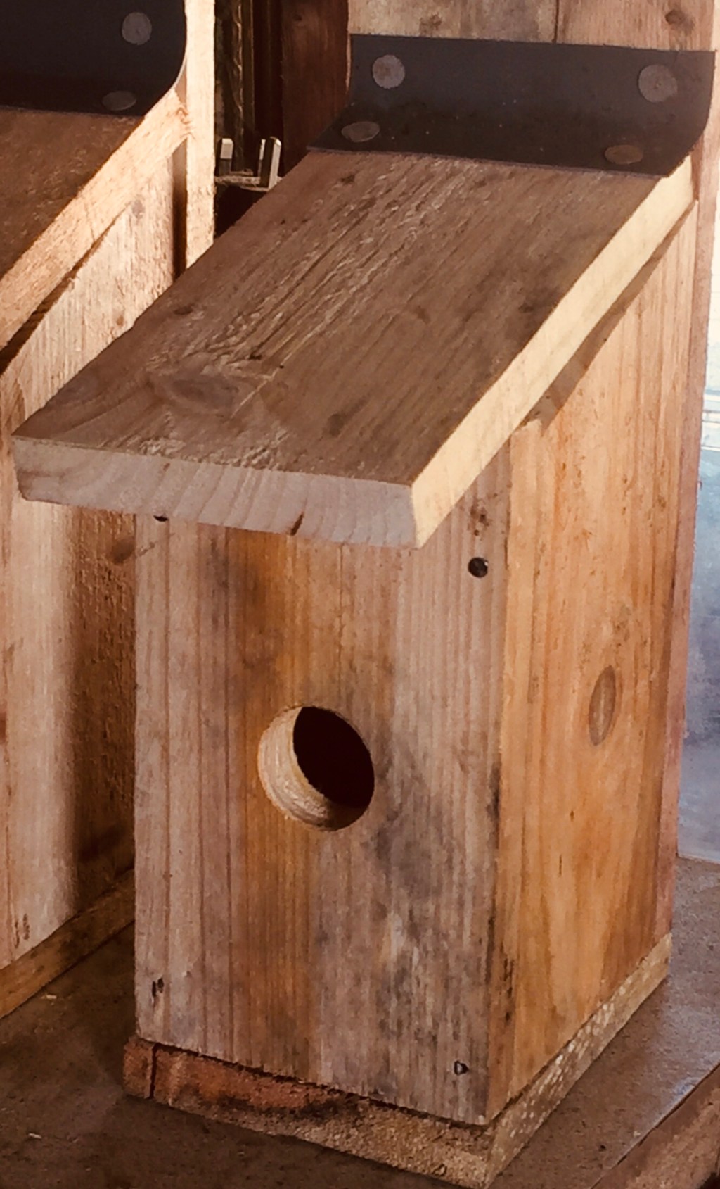 Cabbage seeds, cookery books and bird boxes.