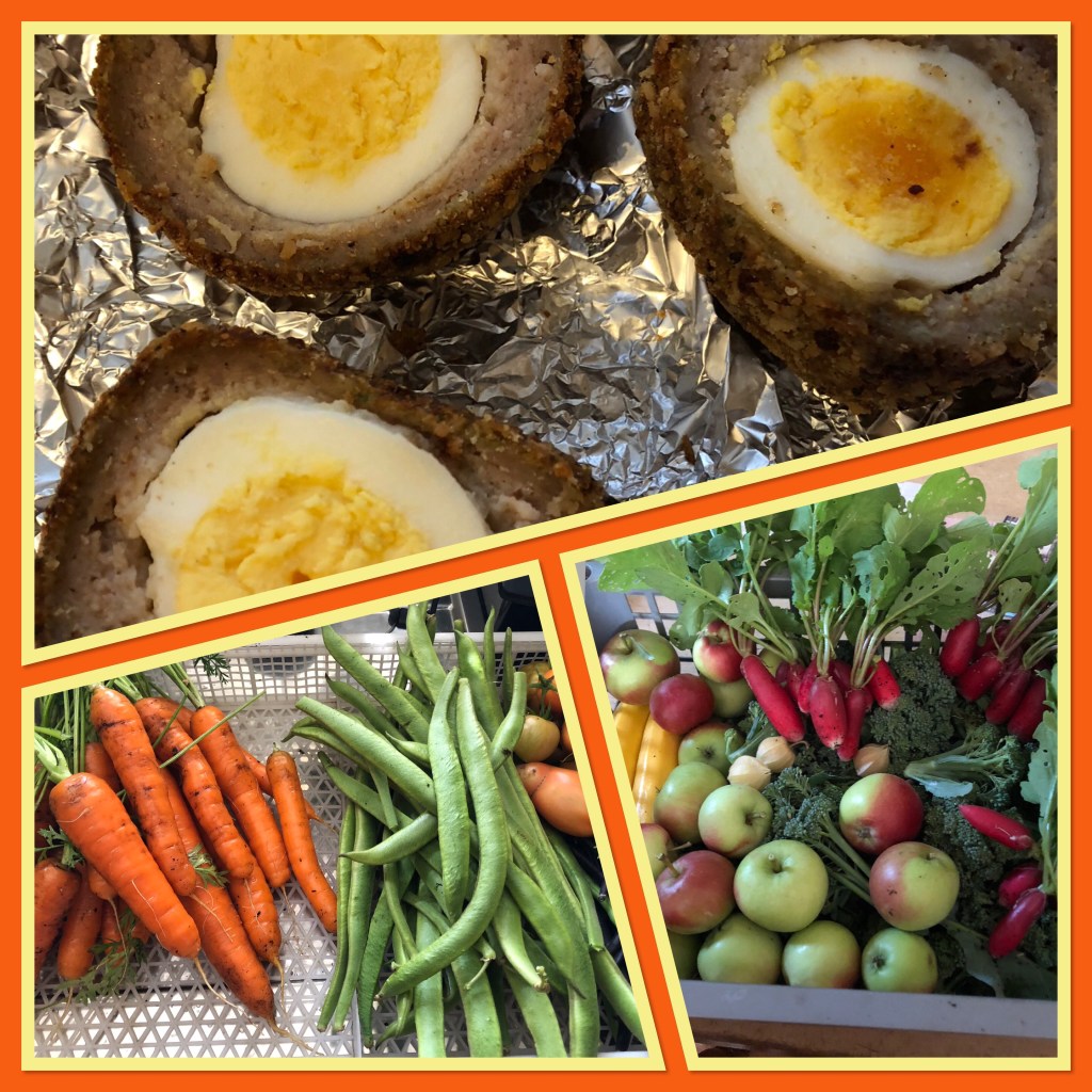 Scotch eggs, Jumble crumble and Catherine&nbsp;Parr.