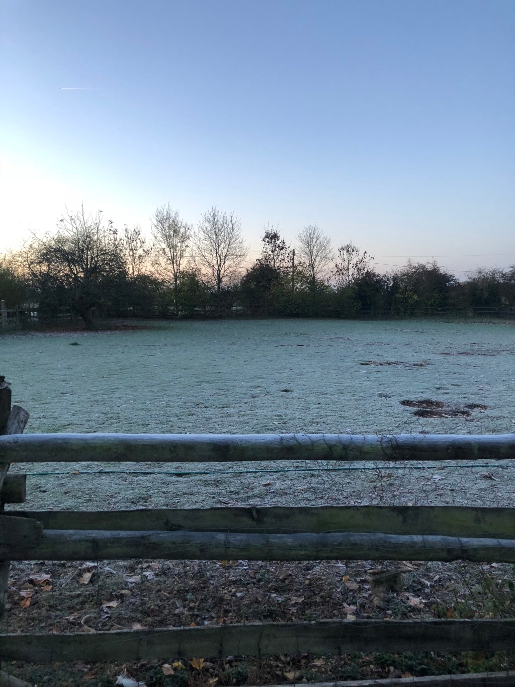 Winters here ❄️ Samhain & a disappointing sweet potato&nbsp;haul.