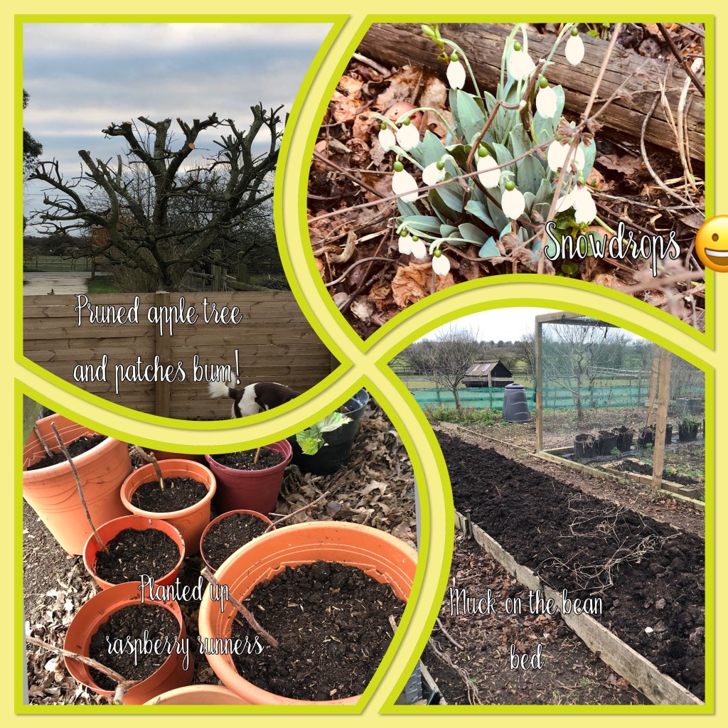 Gardening, cooking, clearing out, a little bit of everything this&nbsp;week.