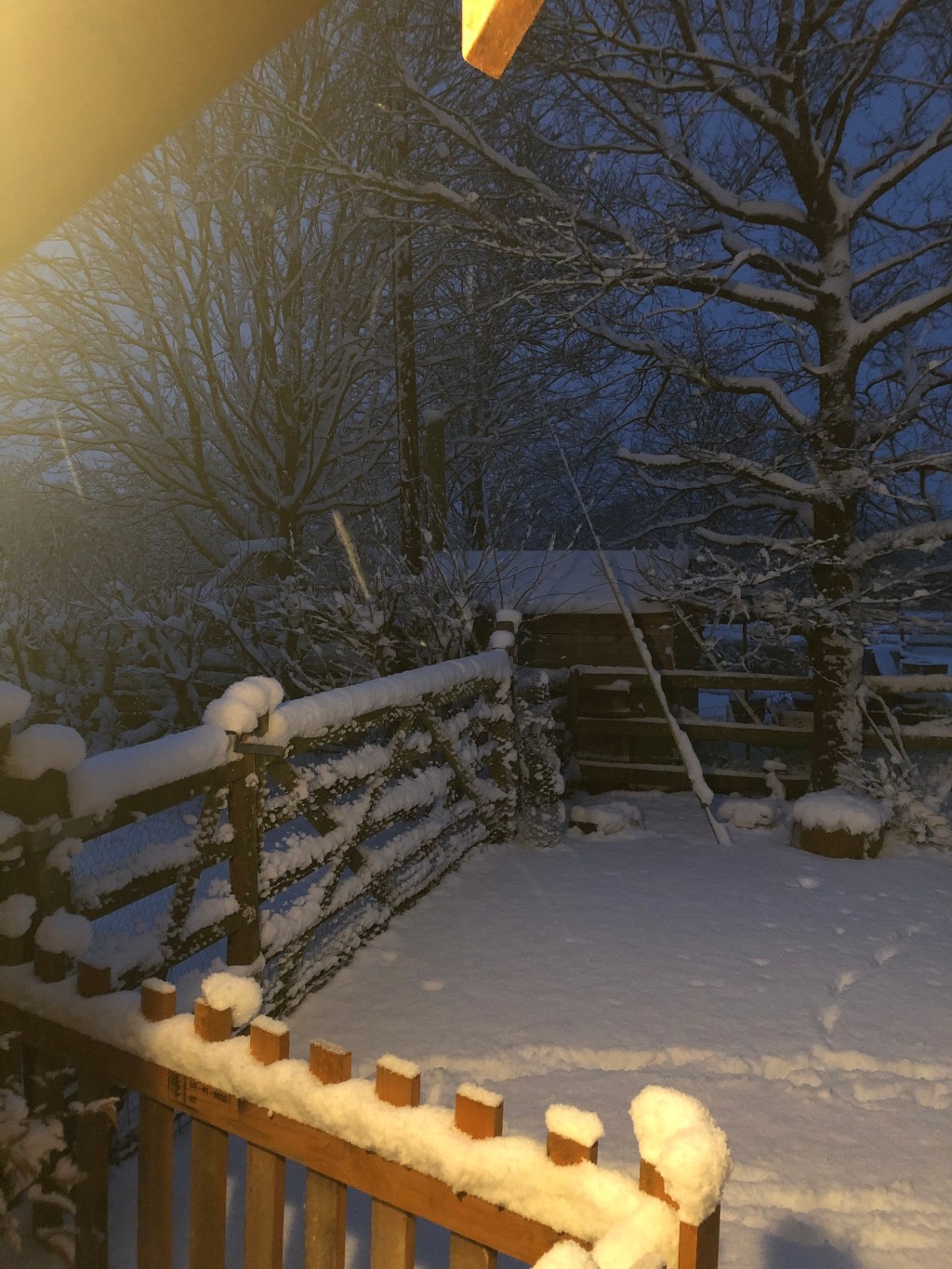 Seeds, Snow and&nbsp;Stars
