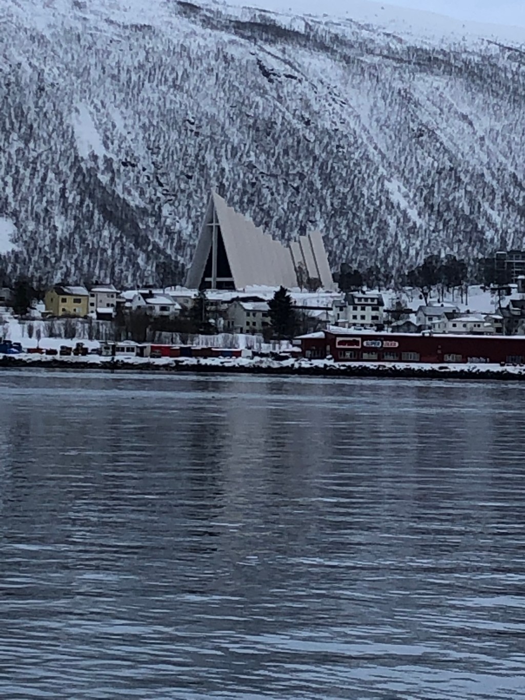 The Artic, home to sunshine and fresh oranges.