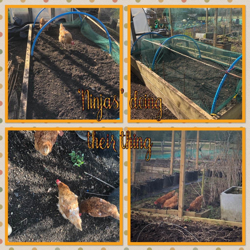 Seed sowing, incubating & poultry&nbsp;processing