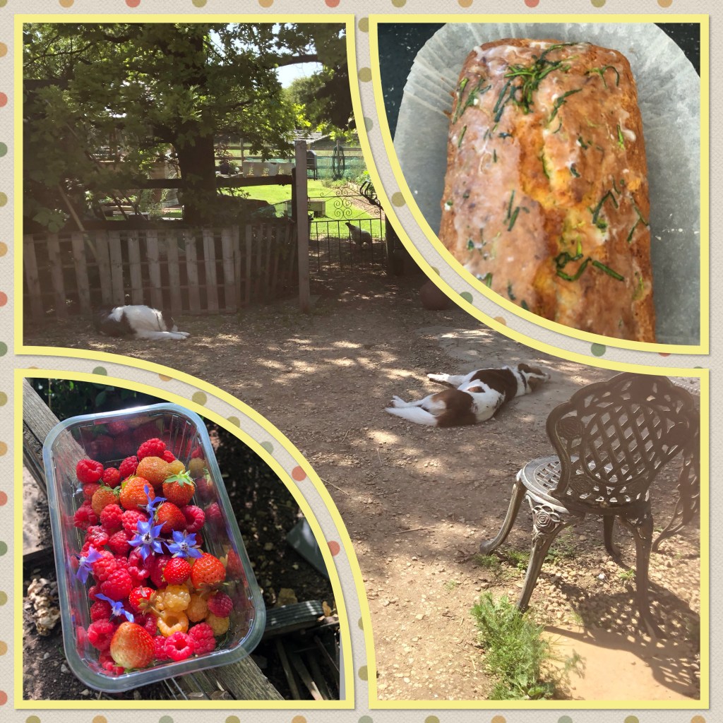 Garden produce, borage & hot&nbsp;weather.
