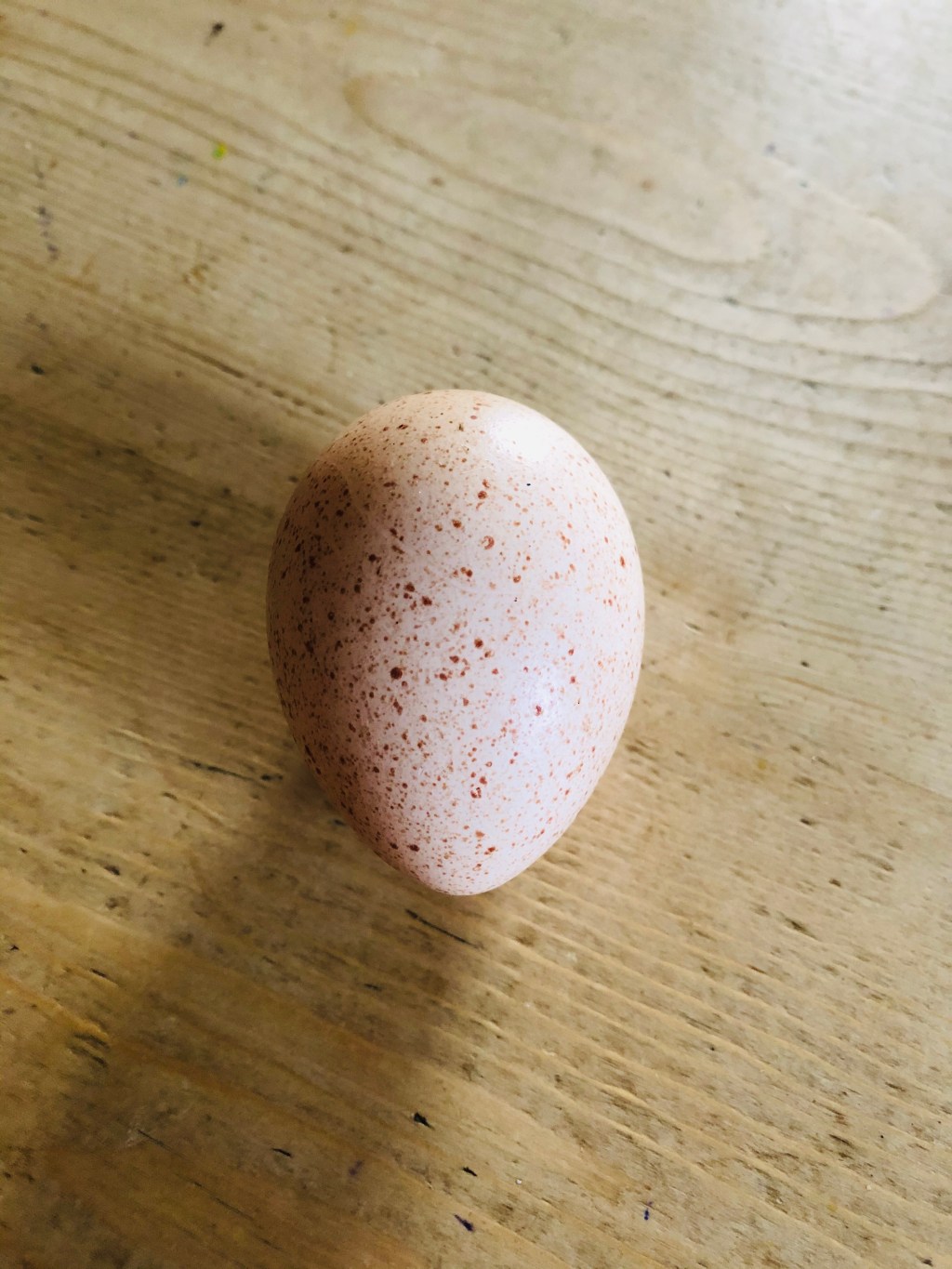 A pandemic, turkey eggs & the first&nbsp;rhubarb
