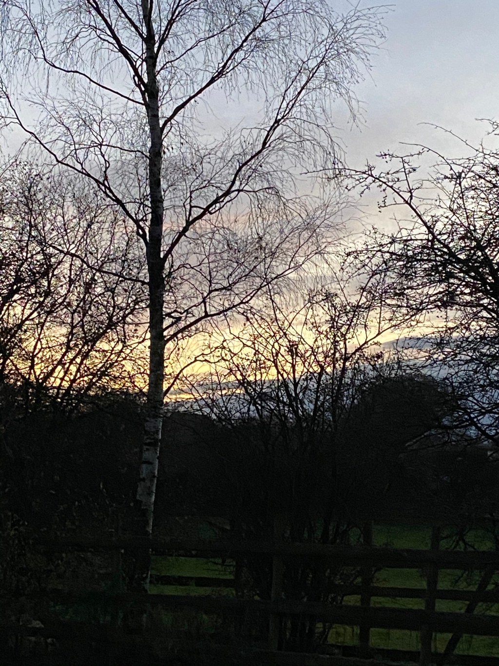 Foggy, frosty & freezing brrr, Winter has&nbsp;arrived.