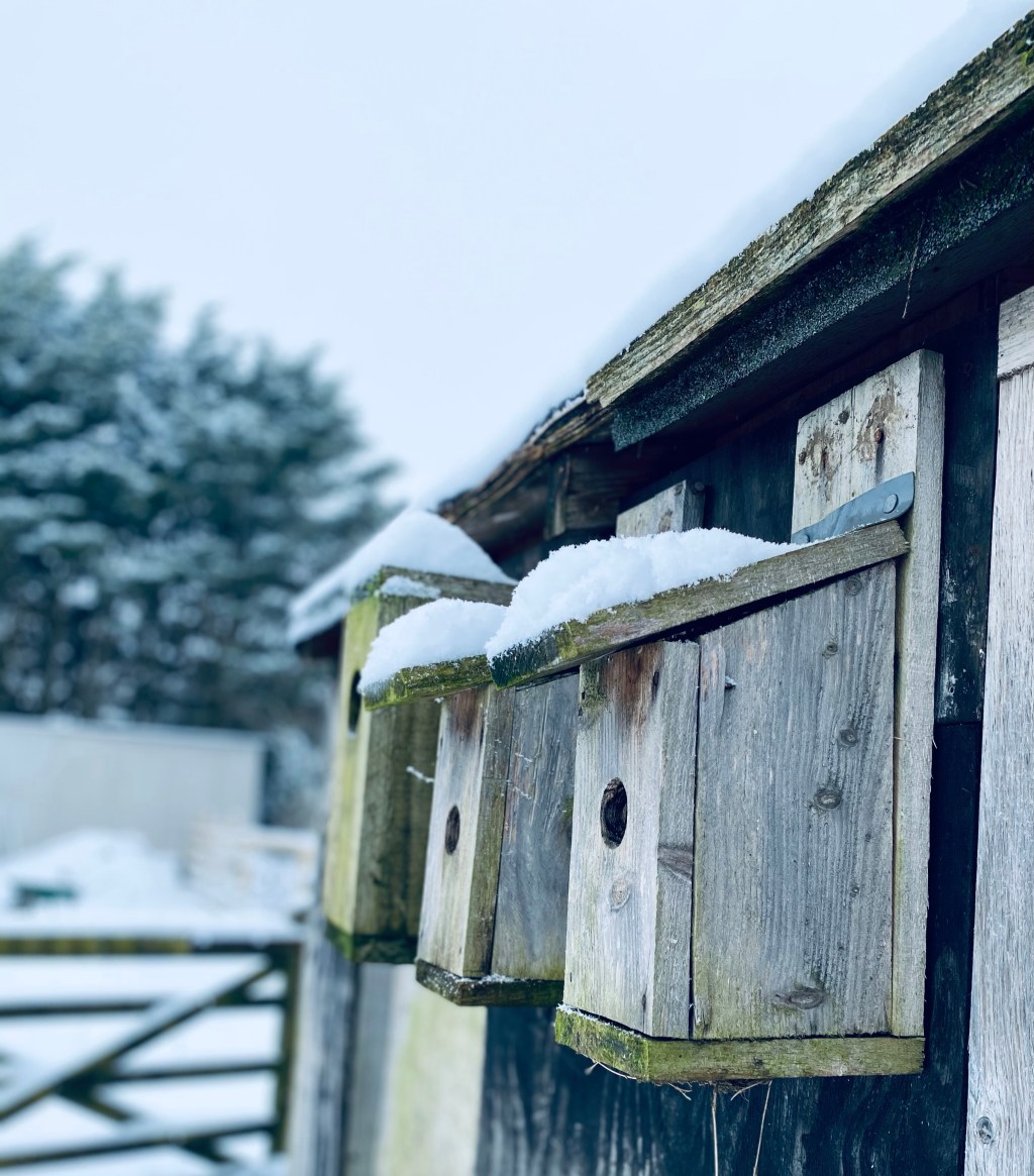 Winter jobs, winter food, winter&nbsp;weather.