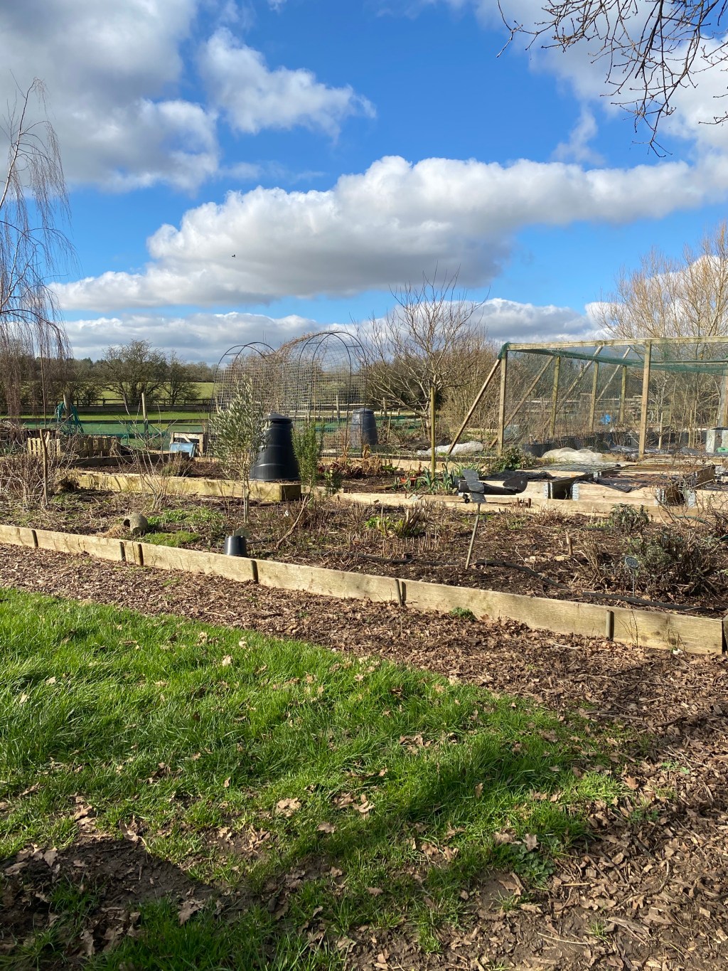 Sunshine ☀️ a vaccine & finally some&nbsp;gardening.