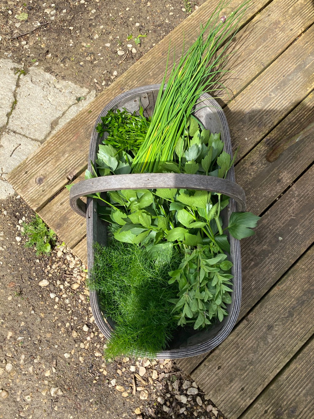 Herbs, Hazel Hedges &&nbsp;Hens
