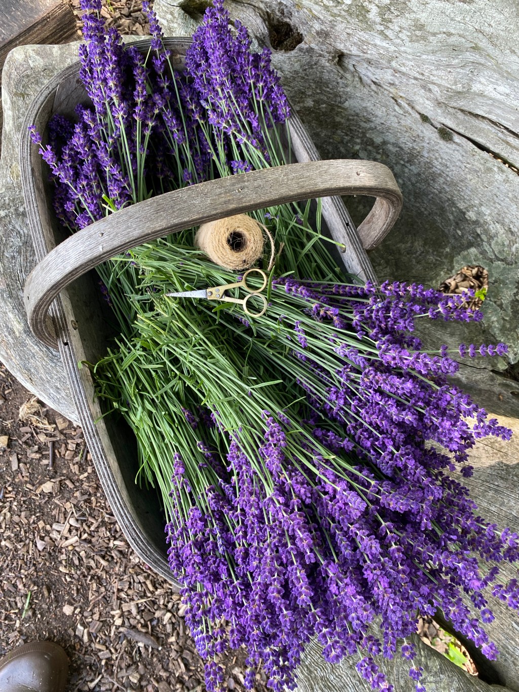 Busy picking, busy doing, generally just a busy week&nbsp;😜