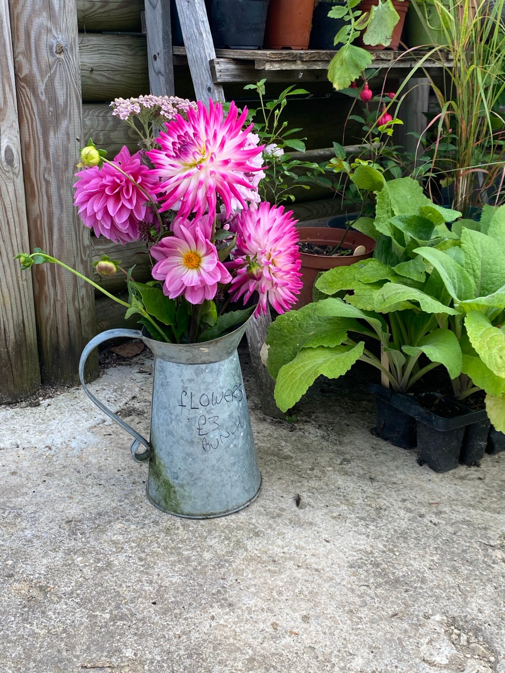 Harvest time, home grown flowers & plenty of jobs to do&nbsp;😝