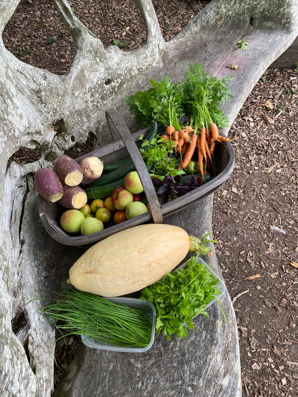A bank holiday, more of the harvest & the sun finally came&nbsp;out!
