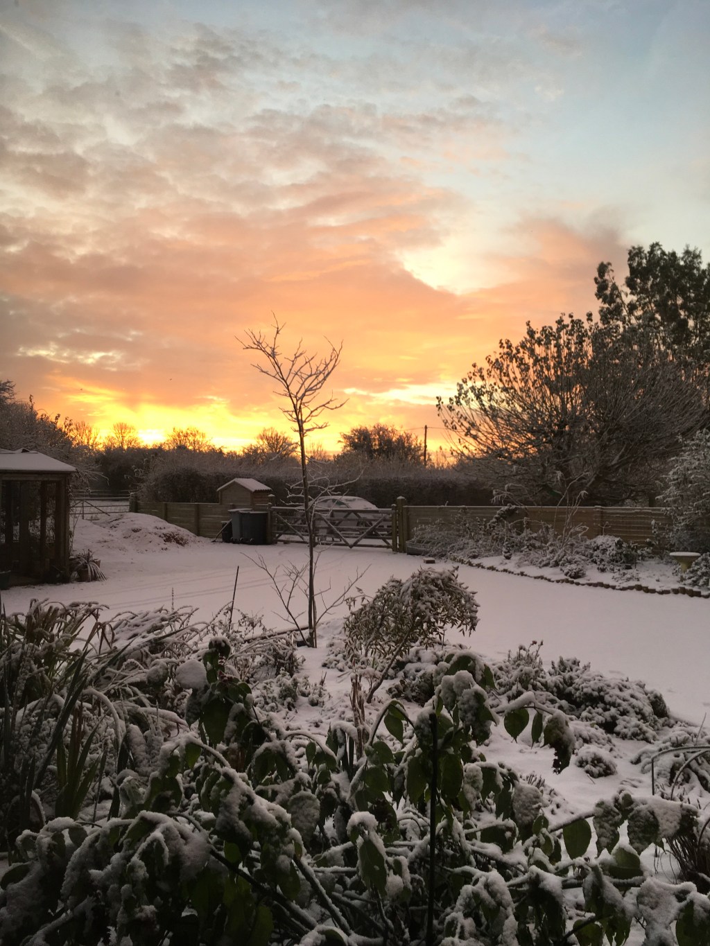 Snow, a beautiful bargain & a pantry&nbsp;🥰